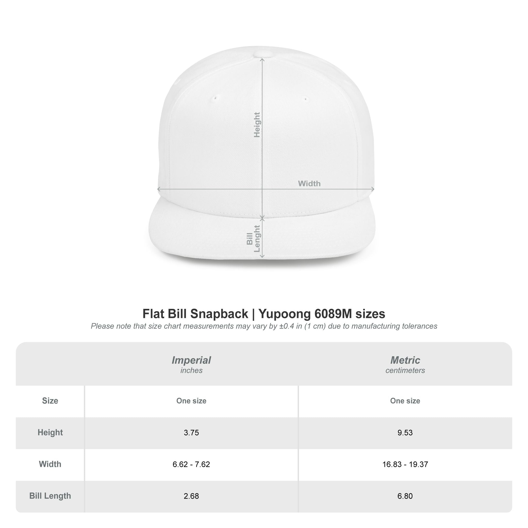 New York - Snap Back